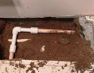 江北测漏水哪家好