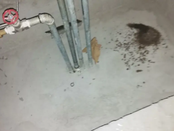 江北卫生间测漏水价格明细