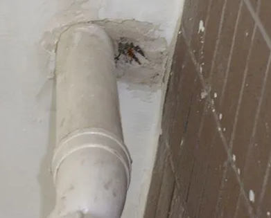 江北漏水检测哪家好